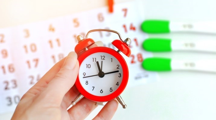 מחשבון ביוץ - תמונת המחשה